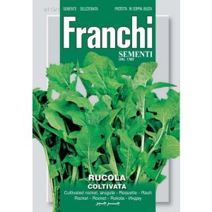 Rucola Coltivata 12g