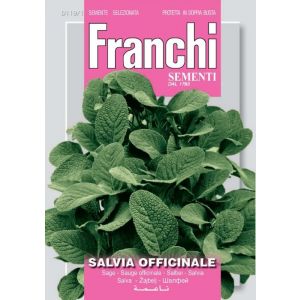 Sementi Franchi - Salvia Officinale 12g