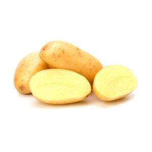 Sementi Franchi - Patate Kennebeck 25pz