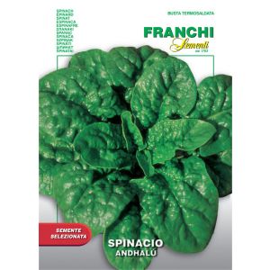 Spinacio Andhalù 7g