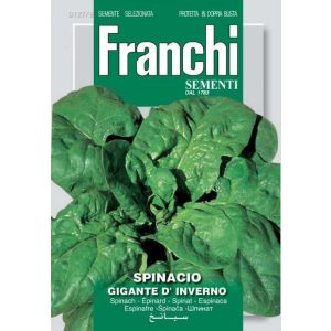 Spinacio Gigante d'Inverno 12g