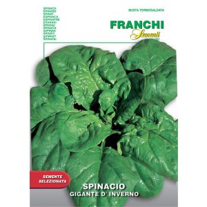 Spinacio Gigante d'Inverno