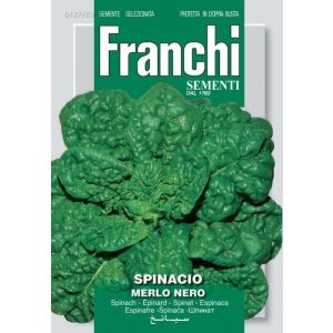 Spinacio Merlo Nero