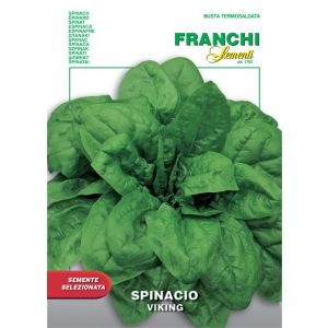 Spinacio Viking