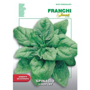Spinacio Viroflay