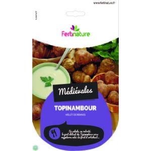 Sementi Franchi - FertiNature Topinambur Viola 5pz