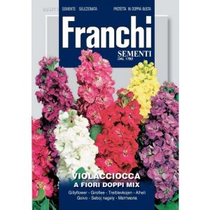 Sementi Franchi - Violaciocca a Fiori Doppi Mix