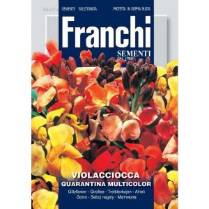 Sementi Franchi - Violacciocca Quarantina Multicolor