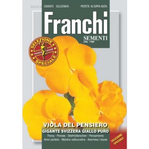 Sementi Franchi - Viola del Pensiero Gigante Svizzera Giallo Puro Selezione Speciale