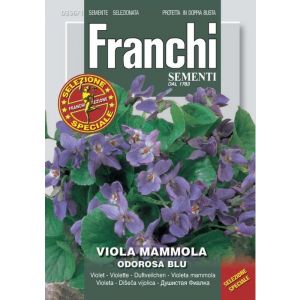 Sementi Franchi - Viola Mammola Odorosa Blu Selezione Speciale