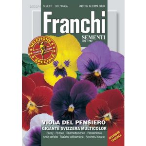 Sementi Franchi - Viola del Pensiero Gigante Svizzera Multicolor Selezione Speciale