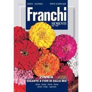 Sementi Franchi - Zinnia Gigante a Fior di Dalia Mix