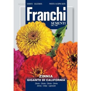 Sementi Franchi - Zinnia Gigante di California