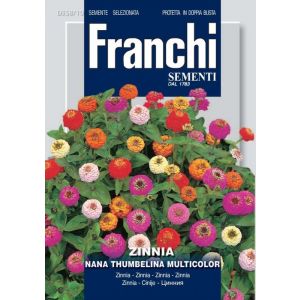 Sementi Franchi - Zinnia Nana Thumbelina Multicolor