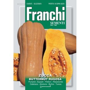 Zucca Butternut Rugosa 12g