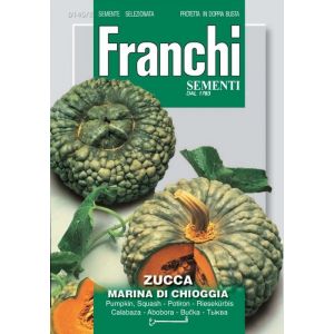 Zucca Marina di Chioggia 12g