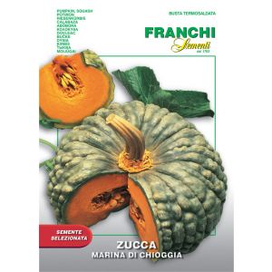 Zucca Marina di Chioggia 7g