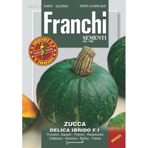 Zucca Delica Ibrida 4g