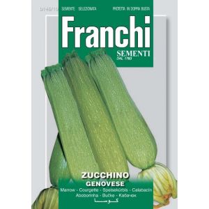 Zucchino Genovese 12g