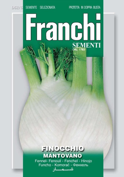 Finocchio