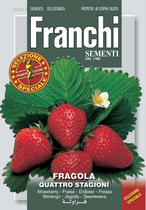 Fragole