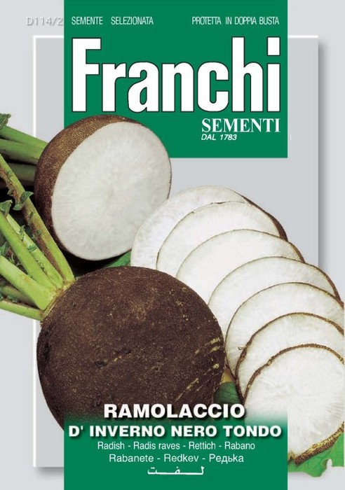 Ramolaccio d