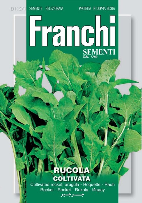 Rucola