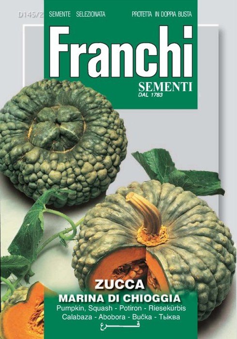 Zucca Marina di Chioggia 12g