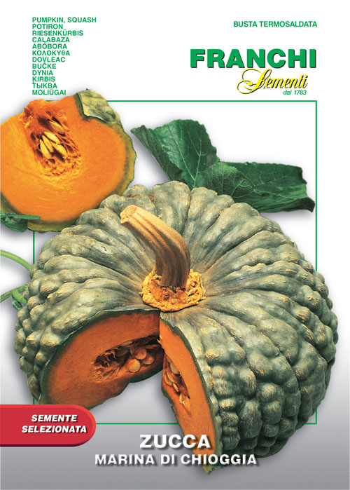 Zucca Marina di Chioggia 7g