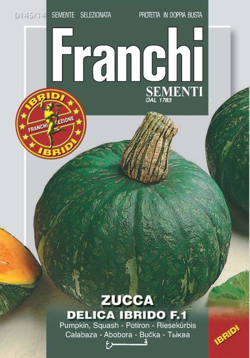 Zucca Delica Ibrida 4g