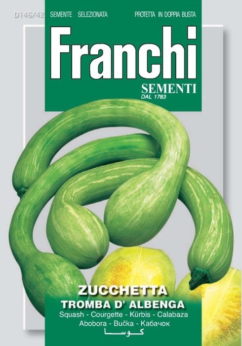 Zucchetta Tromba d