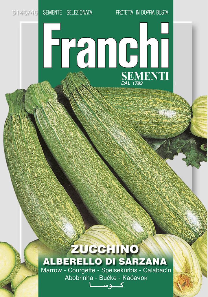 Zucchino Alberello di Sarzana 7g