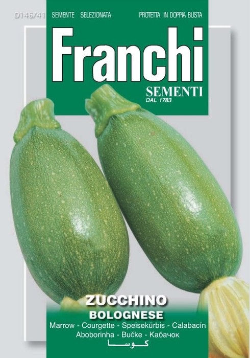 Zucchino Bolognese 12g