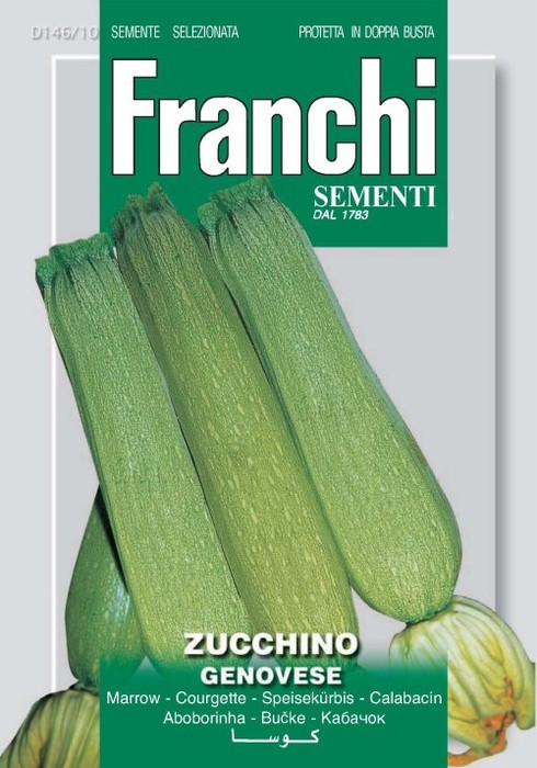 Zucchino Genovese 12g