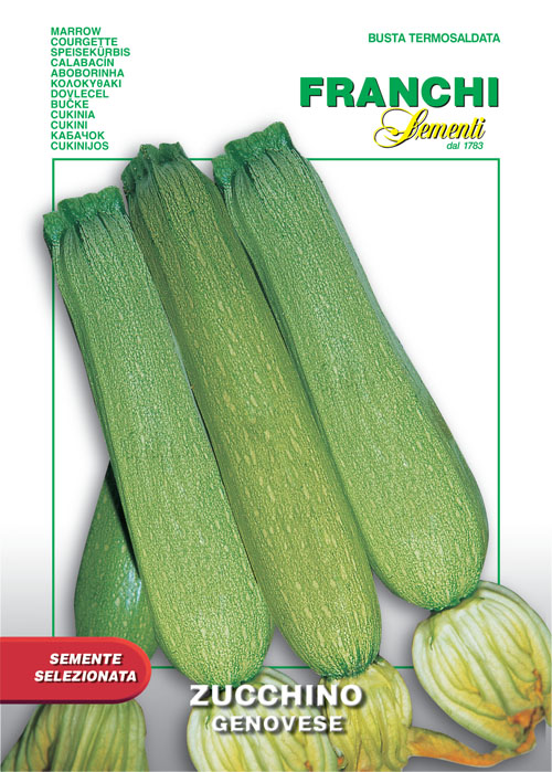 Zucchino Genovese 7g