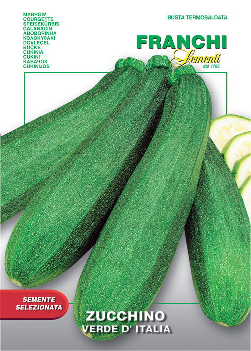 Zucchino Verde d