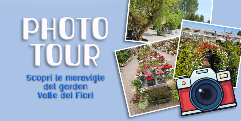 Tour Virtuale