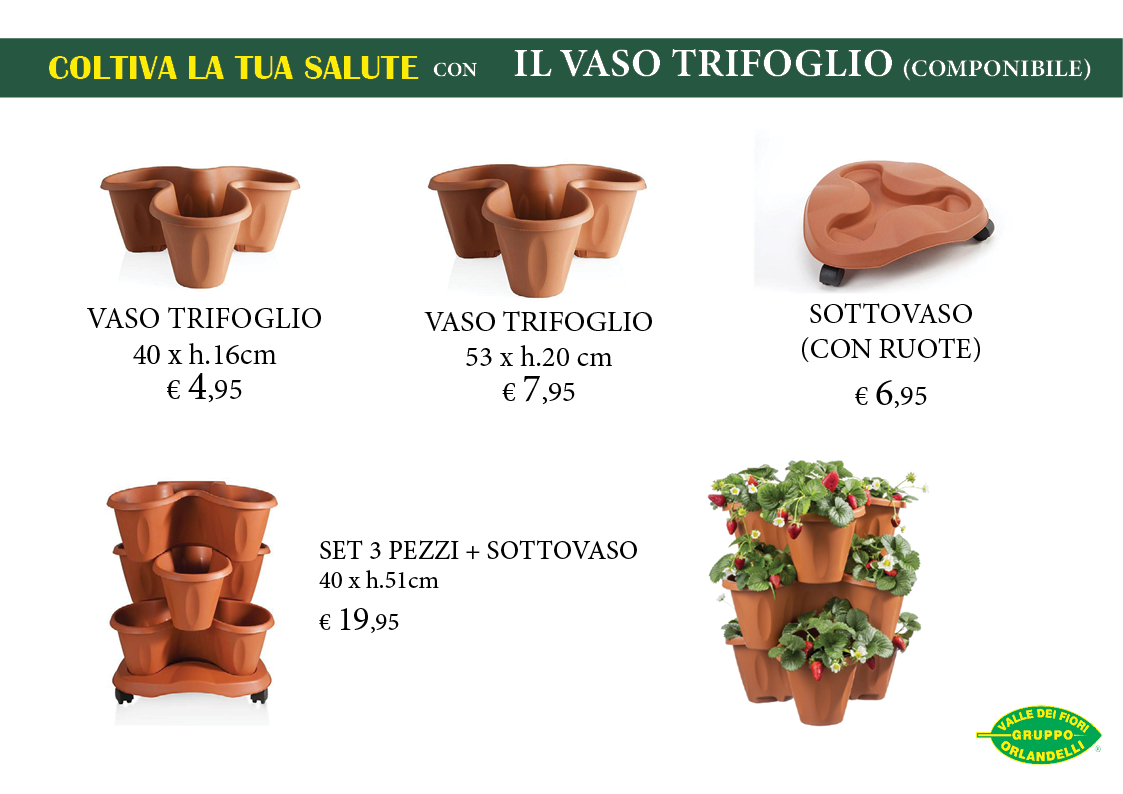 Trifoglio