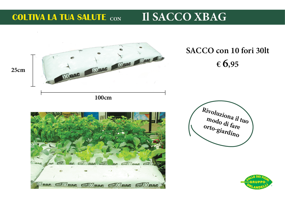 Sacco XBAG