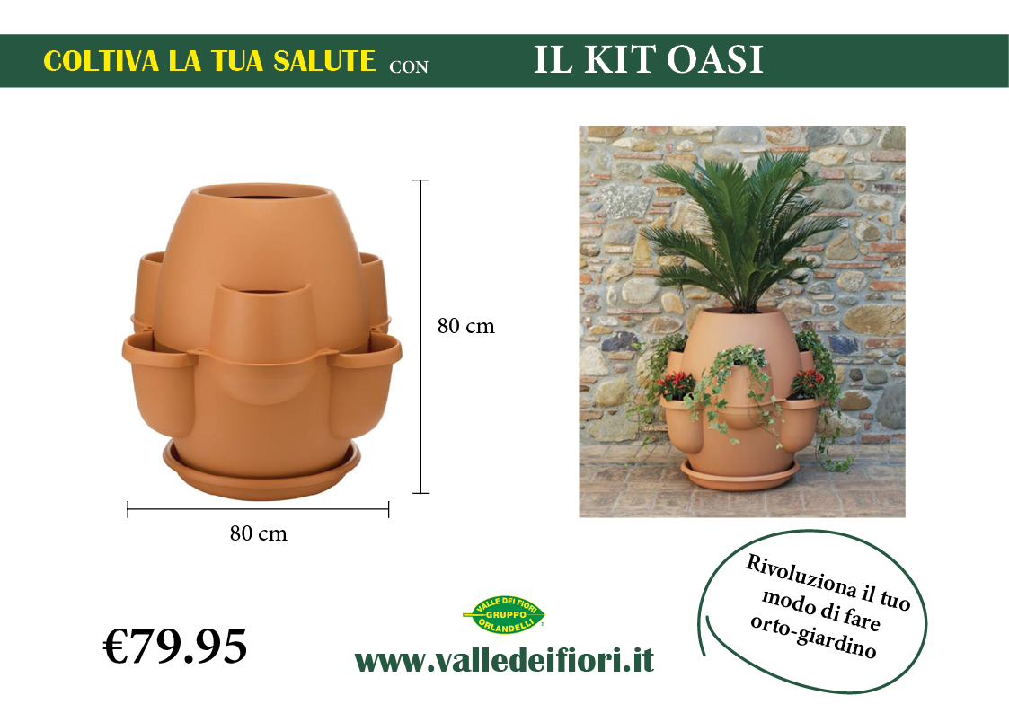 Kit Oasi Bama
