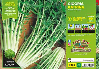 Piantine di Cicorie e Radicchio catalogna gigante Katrina F1