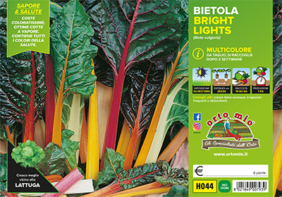 Piantine di Bietola da costa e orto multicolore Bright Lights F1