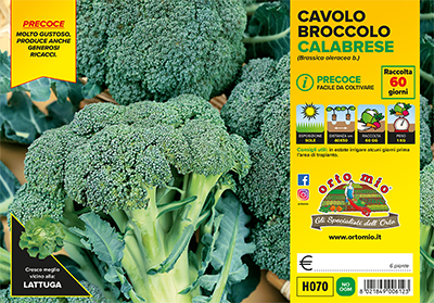 Piantine di Cavolo broccolo calabrese precoce Heraklion F1