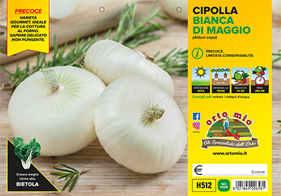 Piantine di Cipolla bianca piatta di Maggio 