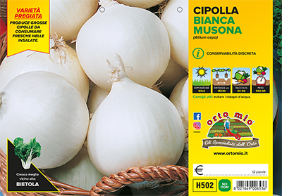 Piantine di Cipolla bianca tonda Musona