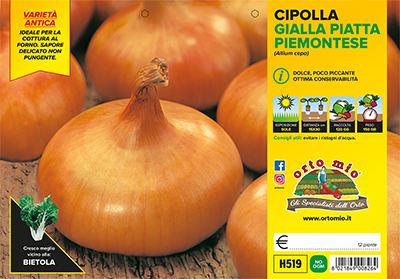 Piantine di Cipolla gialla piatta piemontese