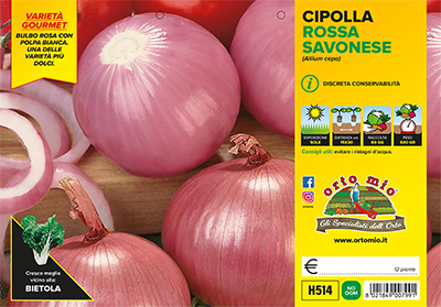 Piantine di Cipolla rosata savonese