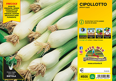 Piantine di Cipolla cipollotto