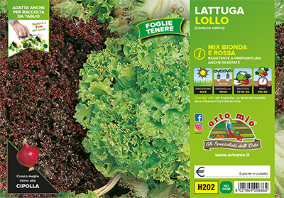 Piantine di Lattuga lollo mix Locarno Concorde