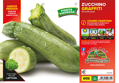 Piantine di zucca e zucchine